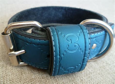 gucci inspired dog collar.